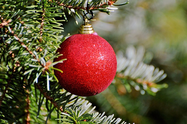 christmas-ornament-2917598_640