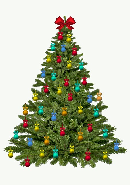 christmas-tree-1833186_640